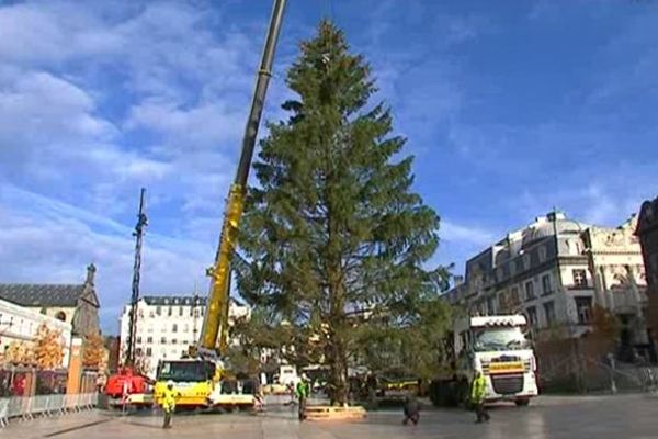 Un épicéa de 25 mètres venu de Nébouzat ornait la place de Jaude l'an dernier. 