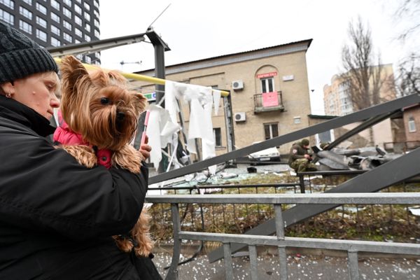 Les ukrainiens ne peuvent pas fuir pour la France avec leurs animaux de compagnie sans prendre le risque de lourdes amendes