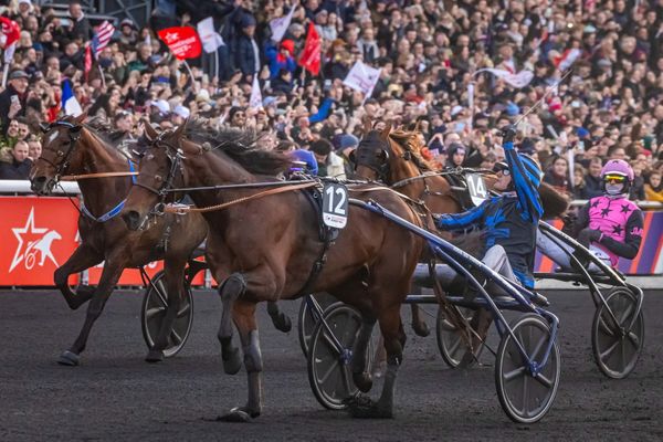 Quinze jours après leur succès dans le Prix d'Amérique, Idao de Tillard et Clément Duvaldestin ont à nouveau triomphé à Vincennes, en remportant le Prix de France.