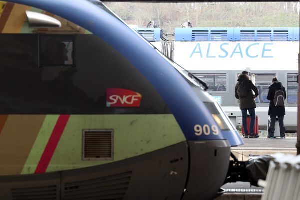 Aucun train TER ne circulera en Alsace pour cette deuxième journée de mobilisation contre la réforme des retraites.