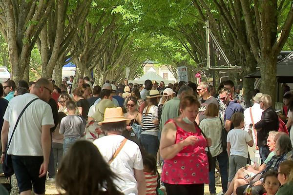 Des allées noires de monde au parc des Bizais à Buxerolles (Vienne) où se tient le festival des food trucks.