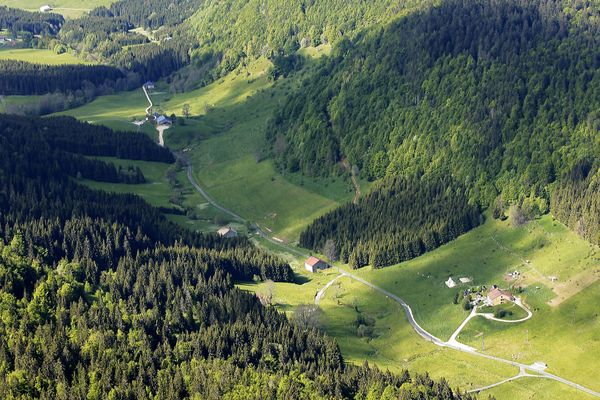 Les forêts du Jura menacées par le réchauffement climatique.