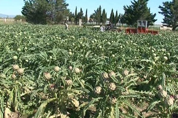 Les vols se multiplient sur les exploitations agricoles où un dispositif de sécurisation va être mis en place.