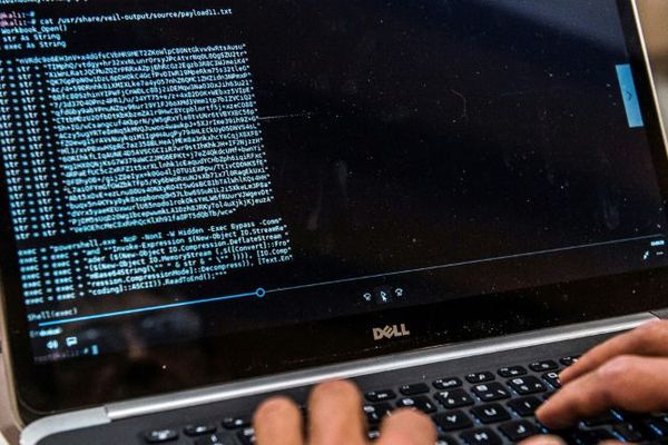 L'une des plus importantes plateformes illégales actives en France sur le "dark web" a été démantelée à l'issue d'une opération "hors norme" menée par les douanes, annoncée le 16 juin 2018 