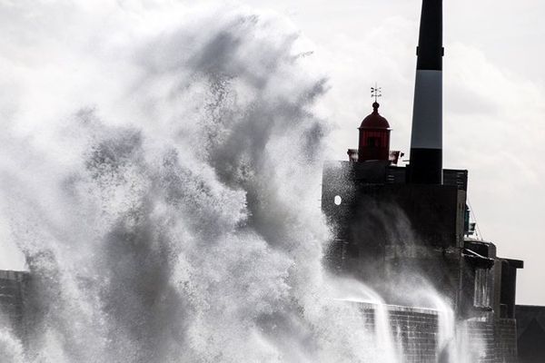 Ambiance dans le port du Havre (Seine-Maritime).