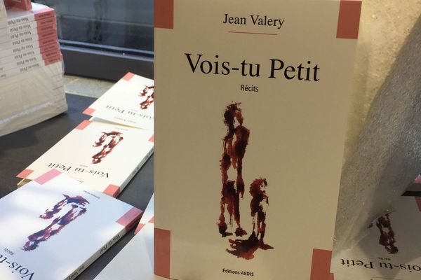 Vois-tu Petit, l'ouvrage de Jean Valery paru aux éditions Aedis en novembre 2018. 