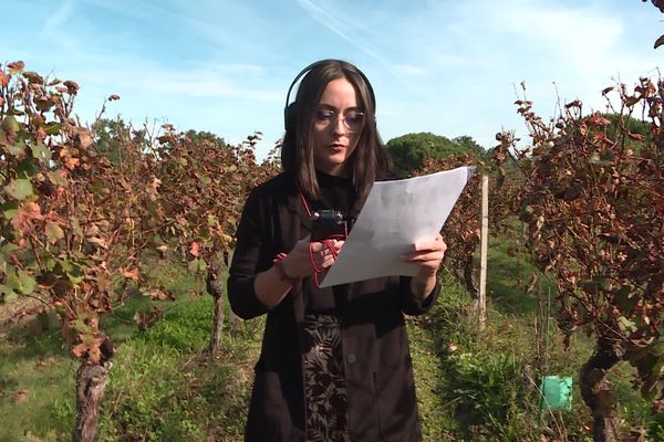 It is in the middle of the vineyards of Château Caze that Aurélie Rogrido records the second episode of the podcast "From the earth to the bottle".