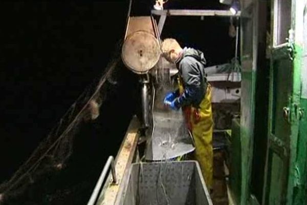 Les capitaines de bateau de pêche ont désormais, eux aussi, un permis à points