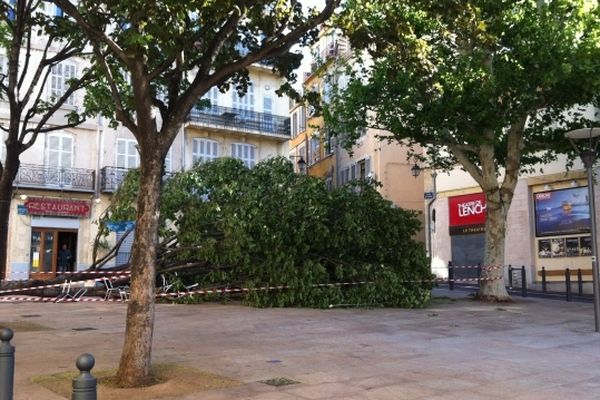 Sous l'arbre, il y a la terrasse du café