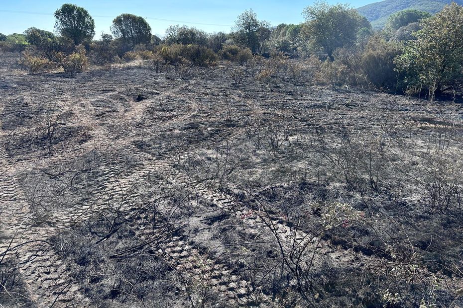 Violent Fire Breaks Out in Saint-André, Pyrénées-Orientales: 10 Hectares Ravaged, 200 Firefighters Mobilized