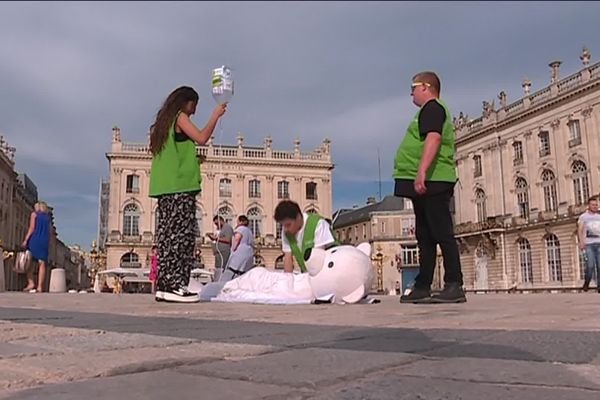 Un ours polaire en train d'agoniser pour sensibiliser la population