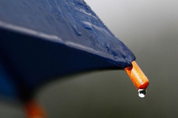 Les parapluies ne restent pas au sec très longtemps...