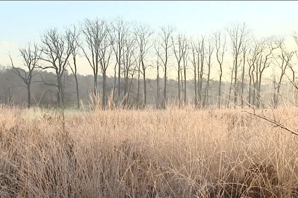  Petit matin givré sur la campagne rennaise