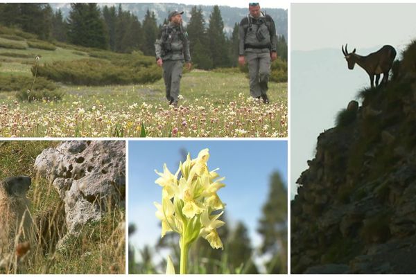 Les gardes de la réserve naturelle des hauts plateaux du Vercors font de la prévention pour le premier week-end de déconfinement.