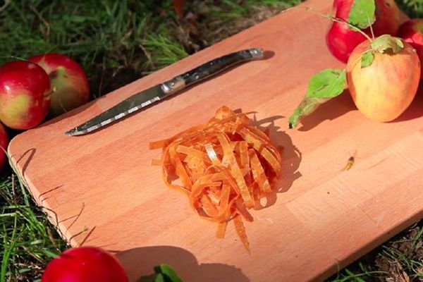 fwee - du cuir de fruits fabriqué à base de fruits invendus