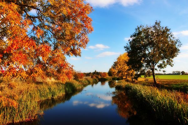 L'automne sous le soleil