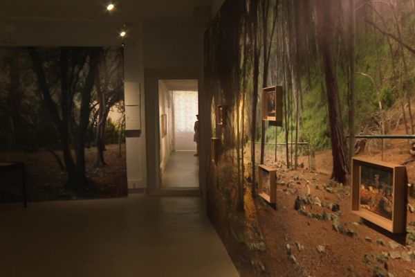 Sur l'île Sainte-Marguerite (Cannes), le musée du Masque de fer et du Fort Royal accueille une exposition sur les détenus français déportés d'Algérie.