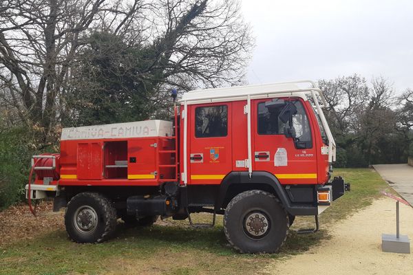 Huit vaches camarguaises tombées dans un canal à Vauvert dans le Gard ont été sauvées par les sapeurs-pompiers du Gard. Une intervention compliquée qui a nécessité la présence d'unités spécialisées.( Photo d'illustration)