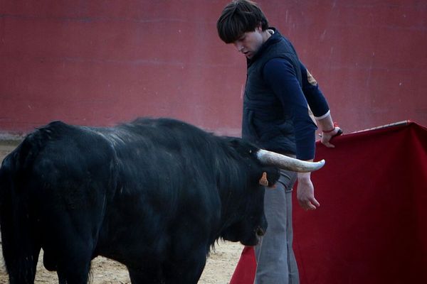 Juan Leal et un excellent novillo de Tierrad 'Oc. Dimanche 6 mars, Cardet (30)