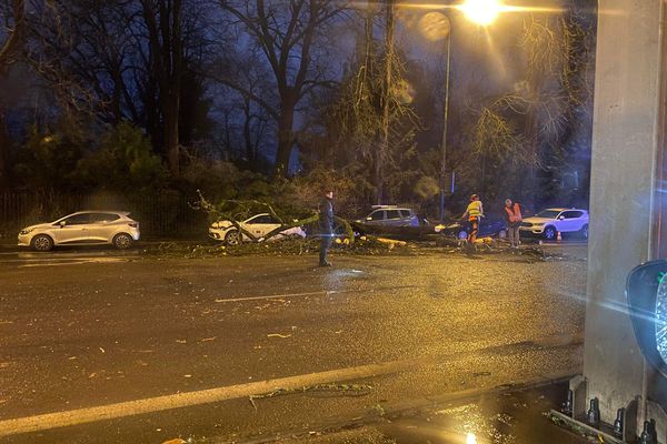 Un arbre s'est écroulé sur la chaussée à proximité de l'Hôtel de Police de Reims. Aucun blessé n'a été signalé.