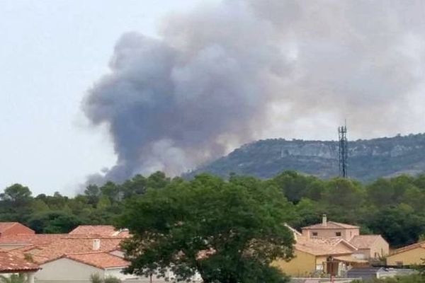 Saint-Bauzille-de-Montmel (Hérault) - incendie sur un feu de pinède - 8 août 2015.