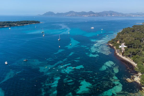 L'avion a amerri d'urgence entre l'île Sainte-Marguerite et l'île Saint-Honorat au large de Cannes le jeudi 12 août.