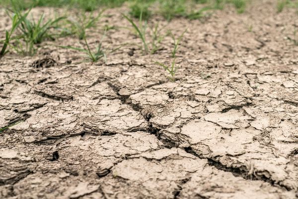 Pour faire face à la sécheresse et protéger la ressource en eau, le Préfet de l'Aube en limite l'usage