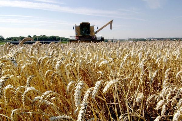 Le ministre de l'Agriculture Stéphane Travert souhaite rénover les outils de régulation du foncier agricole, afin de contrer le phénomène d'accaparement des terres agricoles par des investisseurs. Des investisseurs chinois ont acquis 900 ha de terres à blé et maïs dans l'Allier, grâce à une brèche juridique. 
