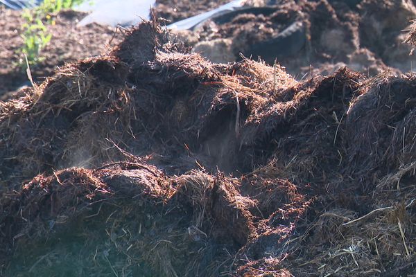 Pour les communes qui disent oui au biométhane, s’appuyer sur du gaz locale, c’est le moyen de s'assurer une forme de souveraineté énergétique.