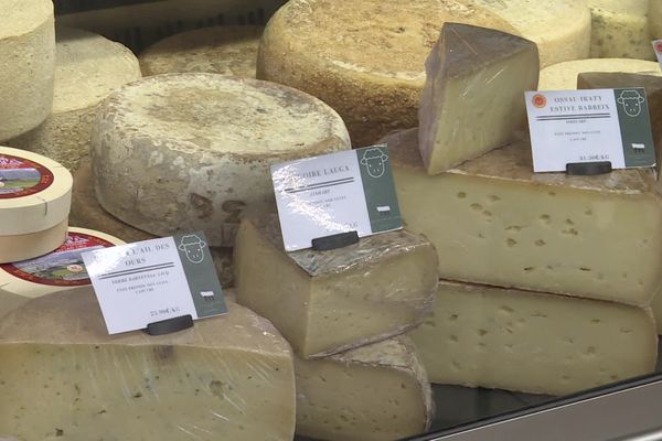 Des fromages pour remplir un calendrier de l'Avent.