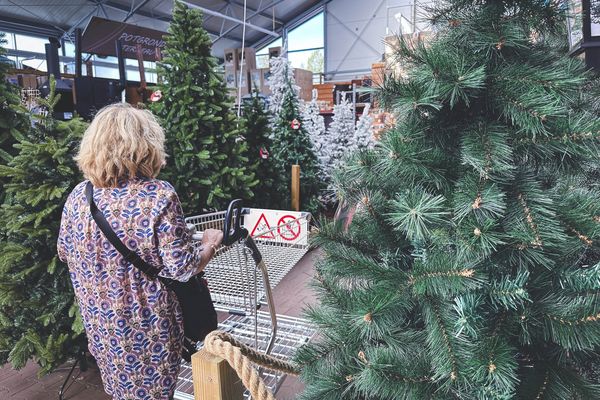 Pour un sapin de Noël qui dure longtemps, il est conseillé de ne pas l'acheter trop tôt. (image d'illustration).