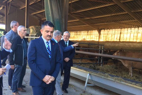 Le ministre turc de l'Agriculture Bekir Pakdemirli a visité une exploitation d'élevage de limousines jeudi 4 octobre à Romagnat (Puy-de-Dôme).