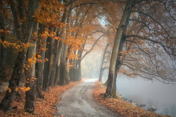 Un temps gris et humide