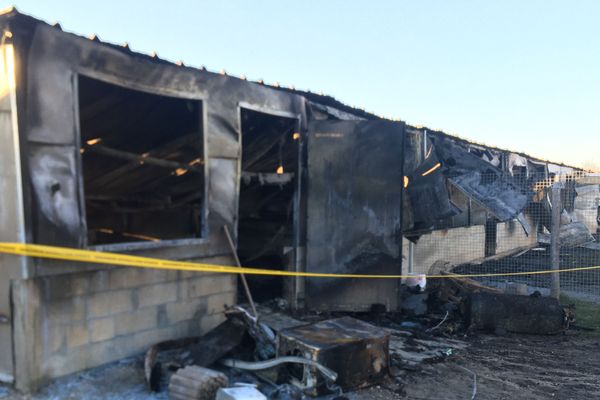 Onze chiens et deux oiseaux ont péri dans l'incendie de ce petit bâtiment.