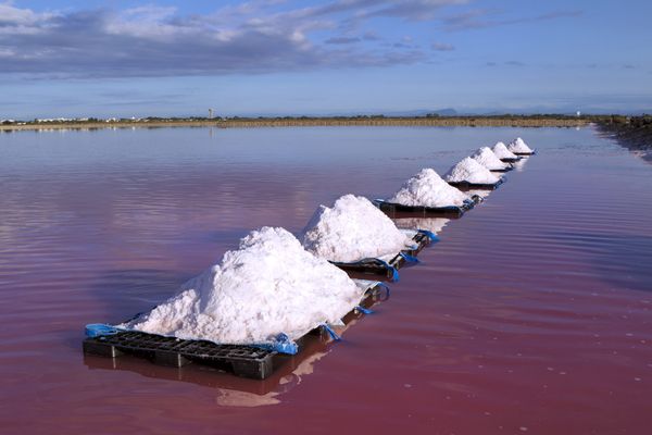 Le sel de Camargue a obtenu son inscription au registre des indications géographiques protégées (IGP) par la commission européenne.