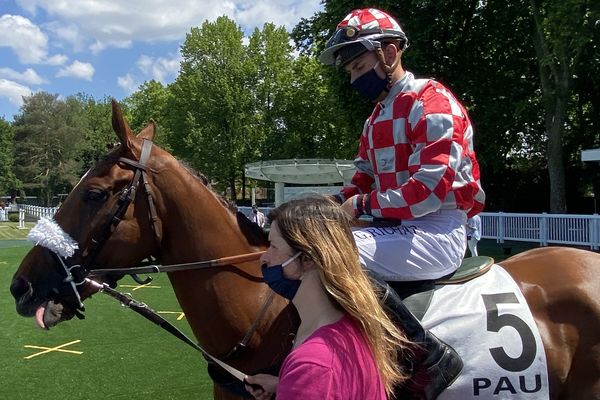 Gaëtan Richard masqué, et son cheval découvre les 30 hectares de l'hippodrome palois du Pont-Long pour une réunion printanière initialement prévue à Auteuil. 10 courses au total.