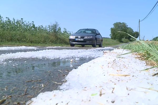 Orage de grêle en Dordogne : des cultures impactées