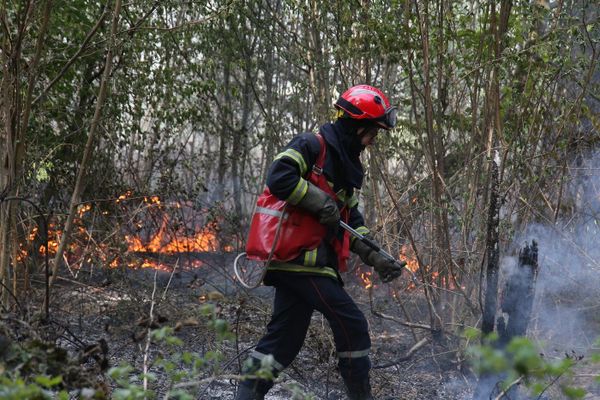 illustration d'un feu de forêt