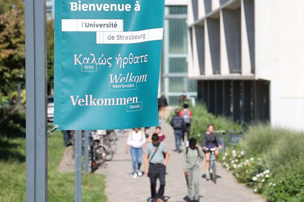 Les étudiants non-européens de l'Université de Strasbourg (Bas-Rhin) devront s'acquitter de frais de scolarité seize fois plus élevés que prévu pour l'année 2024-2025.