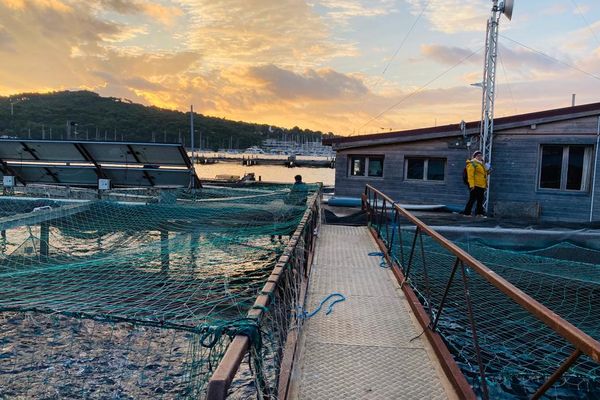 Dans Vue sur Mer, Sophie Accarias et son équipe vous emmène à la découverte des fermes aquacoles de notre région