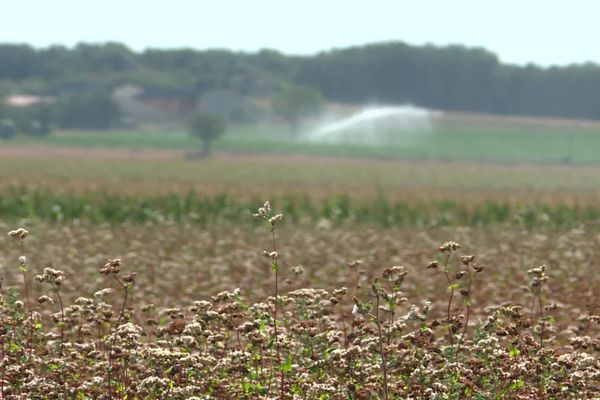 Alerte à la sécheresse en Poitou-Charentes