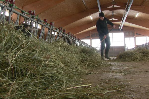 Âgé de seulement 20 ans, Aalric est remplaçant dans les fermes ardéchoises, pour permettre aux agriculteurs de prendre des congés.