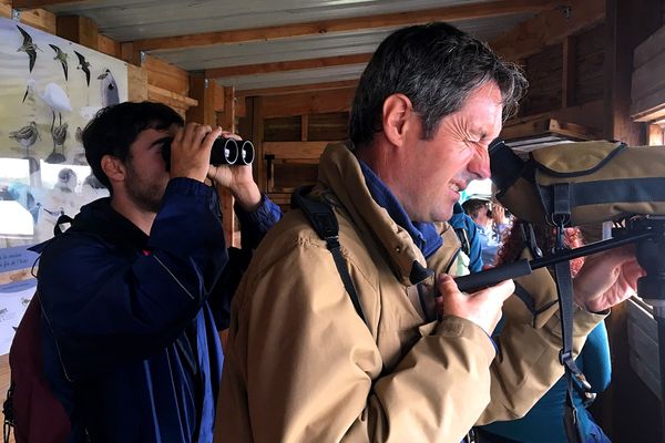 Baptiste Boulay (à gauche) et Jean-Michel Feuillet (à droite), salariés de la Ligue pour la protection des oiseaux (LPO).