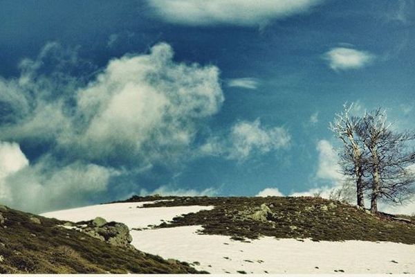 La Haute-Corse a été placé en vigilance jaune neig-verglas par les services de Météo France pour la journée du mercredi 25 mars. 