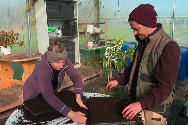 Julian fait découvrir la permaculture à Hélène sur l'île d'Oléron