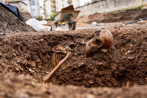 Une dépouille de Gaulois découverte lors de fouilles archéologiques rue Turgot à Dijon (Côte-d'Or).