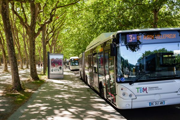 TBM, Transports Bordeaux Métropole