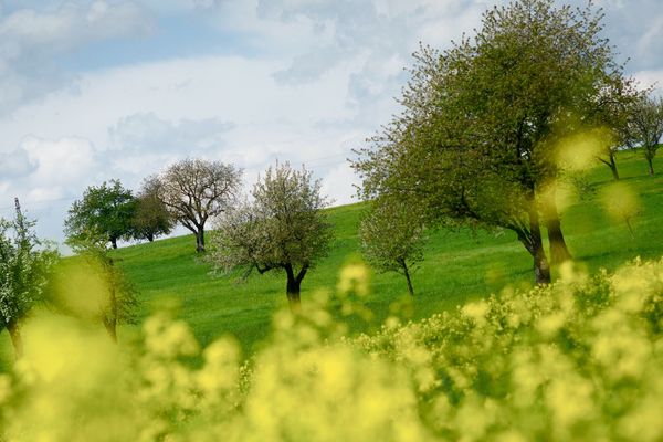 Printemps au balcon ce samedi dans les Pays de la Loire