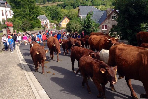 La Fête de l'estive est un moment toujours très attendu par les habitants de Besse (63) et les touristes