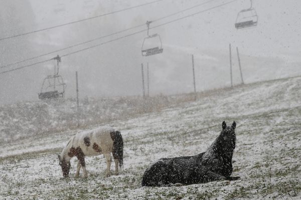 Les premiers flocons sont tombés au dessus de 1700 mètres.